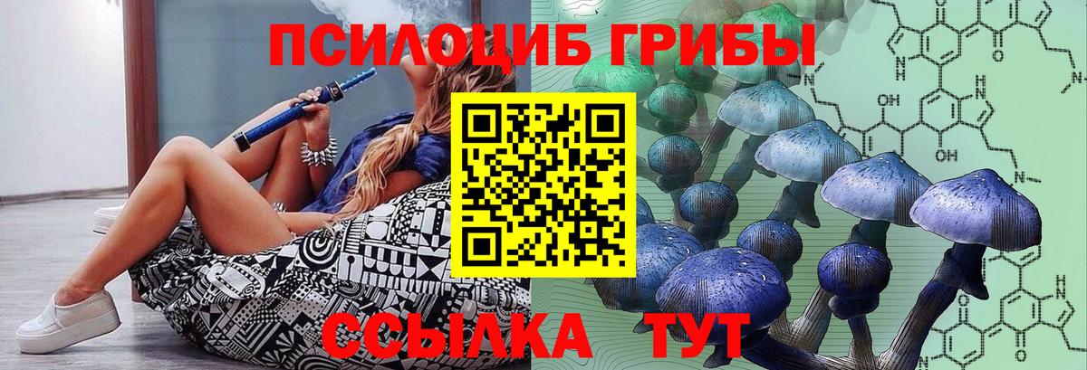 Псилоцибиновые грибы GOLDEN TEACHER Набережные Челны